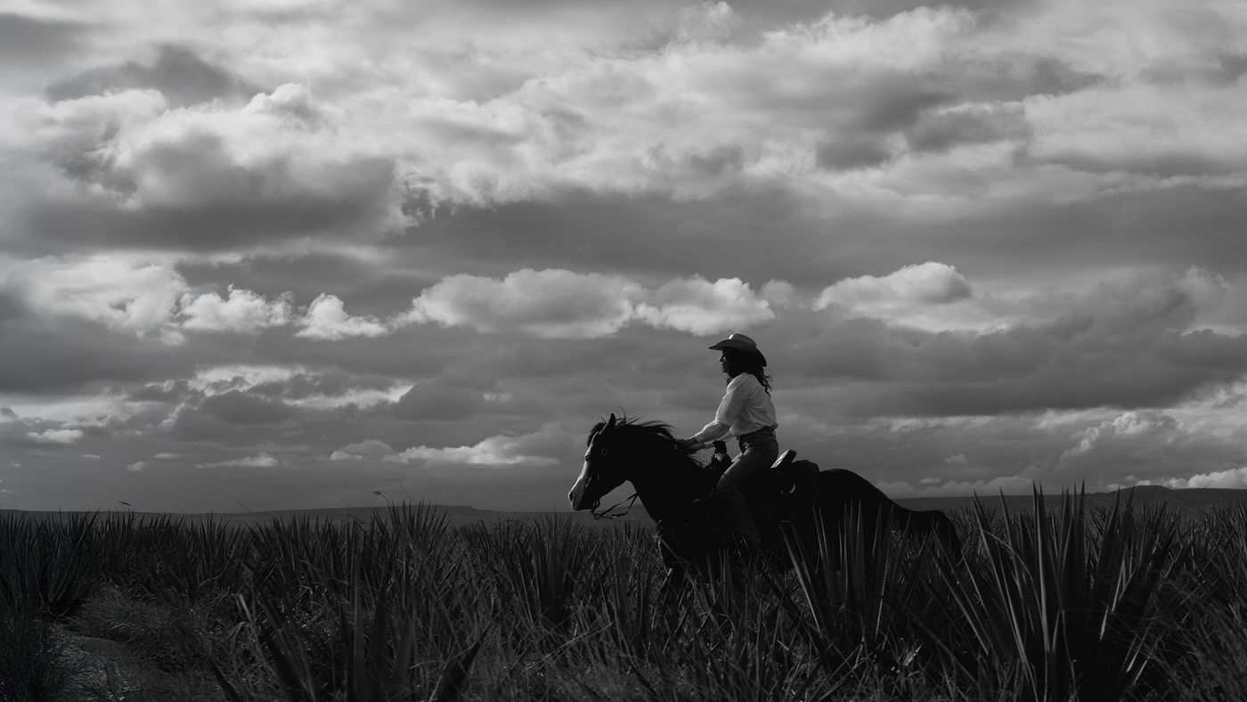 Rider in tall plants